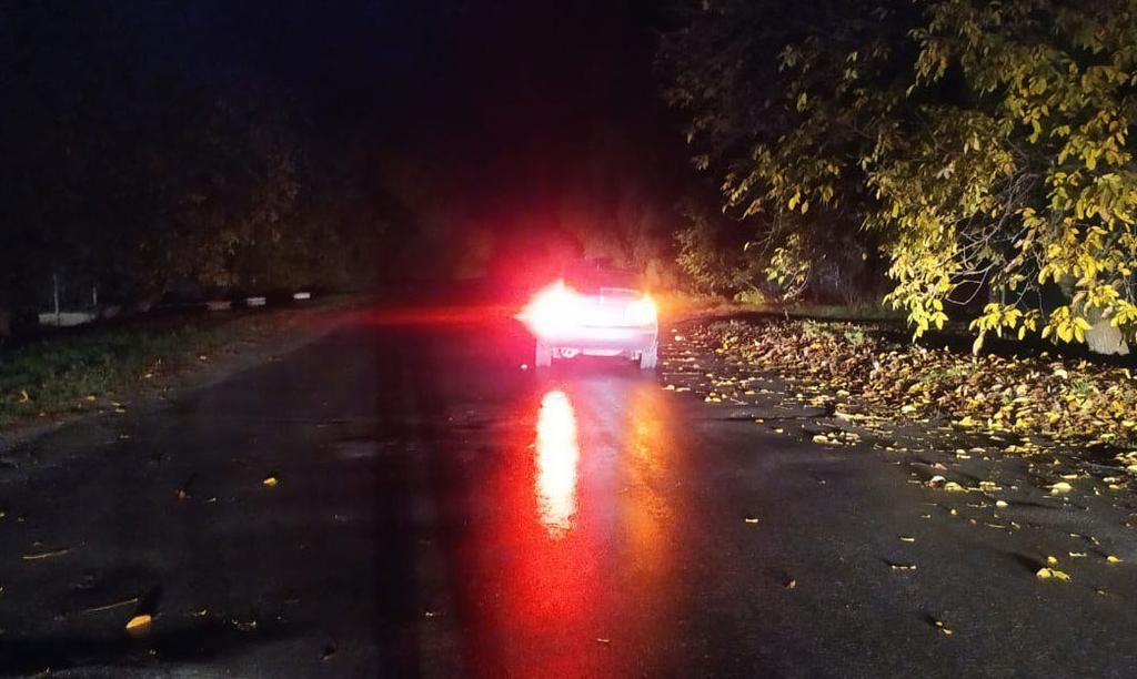На Полтавщині нетверезий водій збив підлітка
