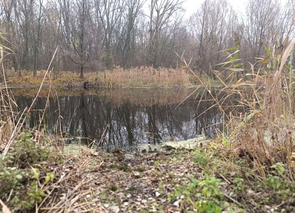 Тіло зниклого безвісти на Миргородщині знайшли на дні річки