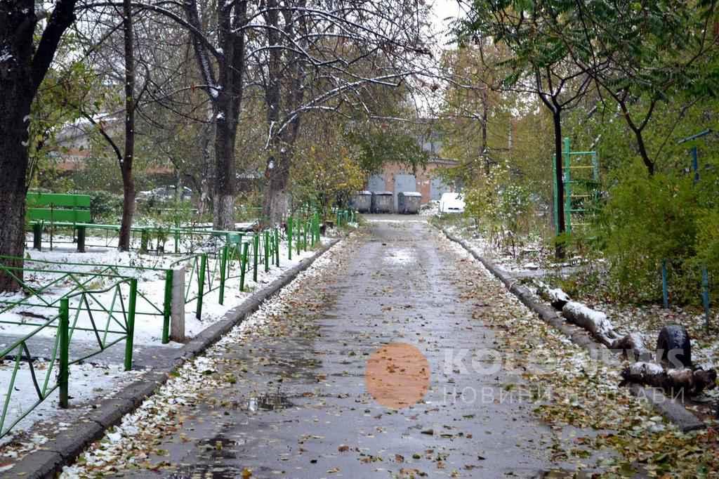 В Україні прогнозують похолодання та перший сніг: коли чекати