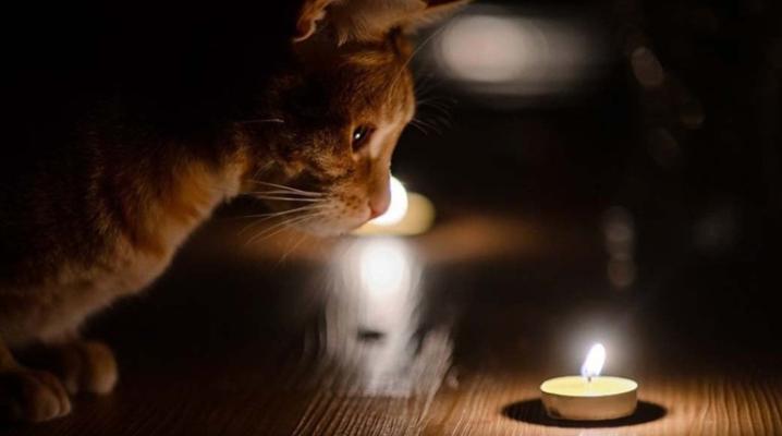 На Полтавщині оновили адреси в графіку погодинних відключень