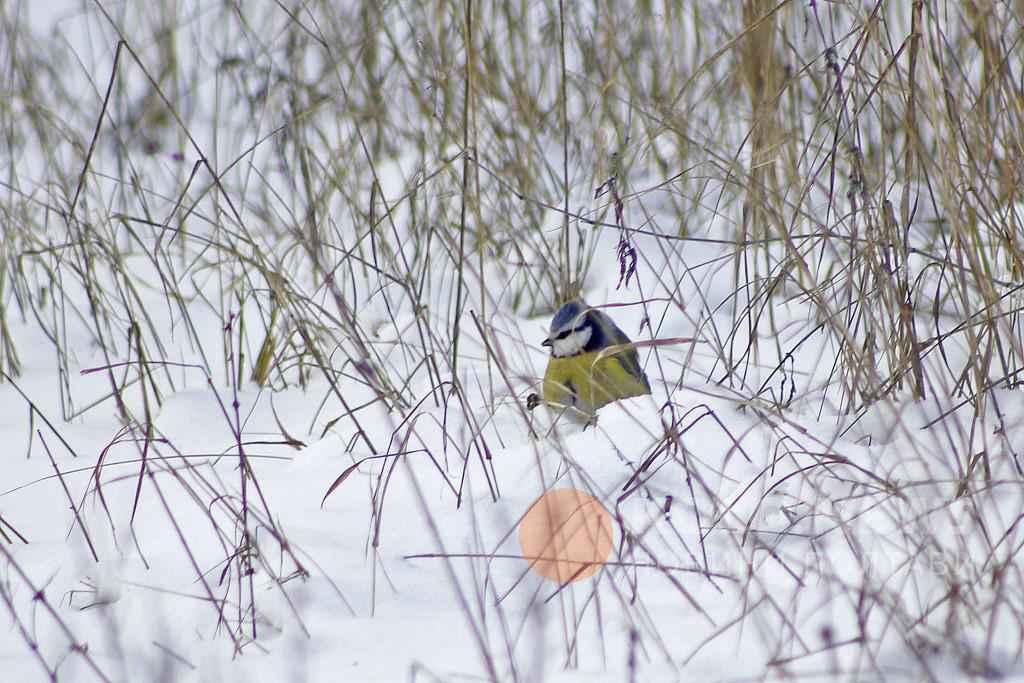 Яке сьогодні свято – все про 30 листопада, церковне свято, що не можна робити