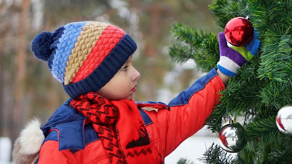 Чи встановлювати новорічну ялинку у Гадячі – міськрада запустила опитування