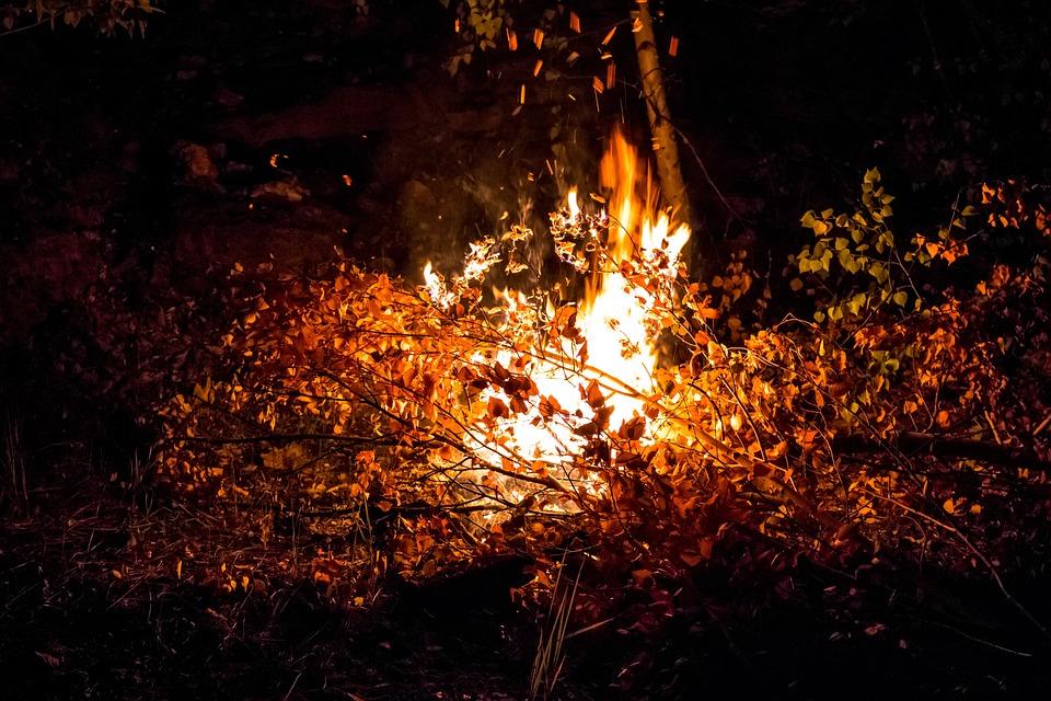 «Декоративні культури» спалюють подрібнені сухі гілки: мешканці Полтави обурені. ВІДЕО