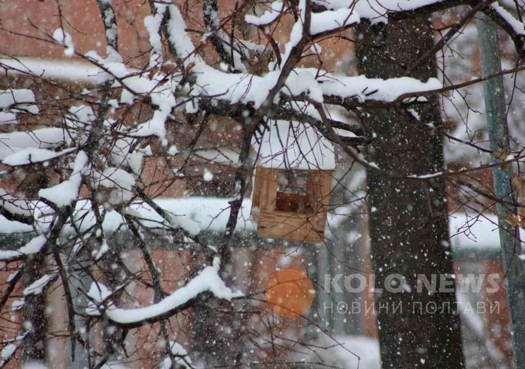 9 грудня: яке сьогодні свято, традиції та заборони