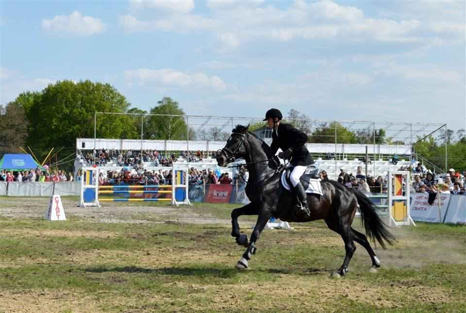 Сьогодні на Полтавщині відбудеться грандіозне кінне свято