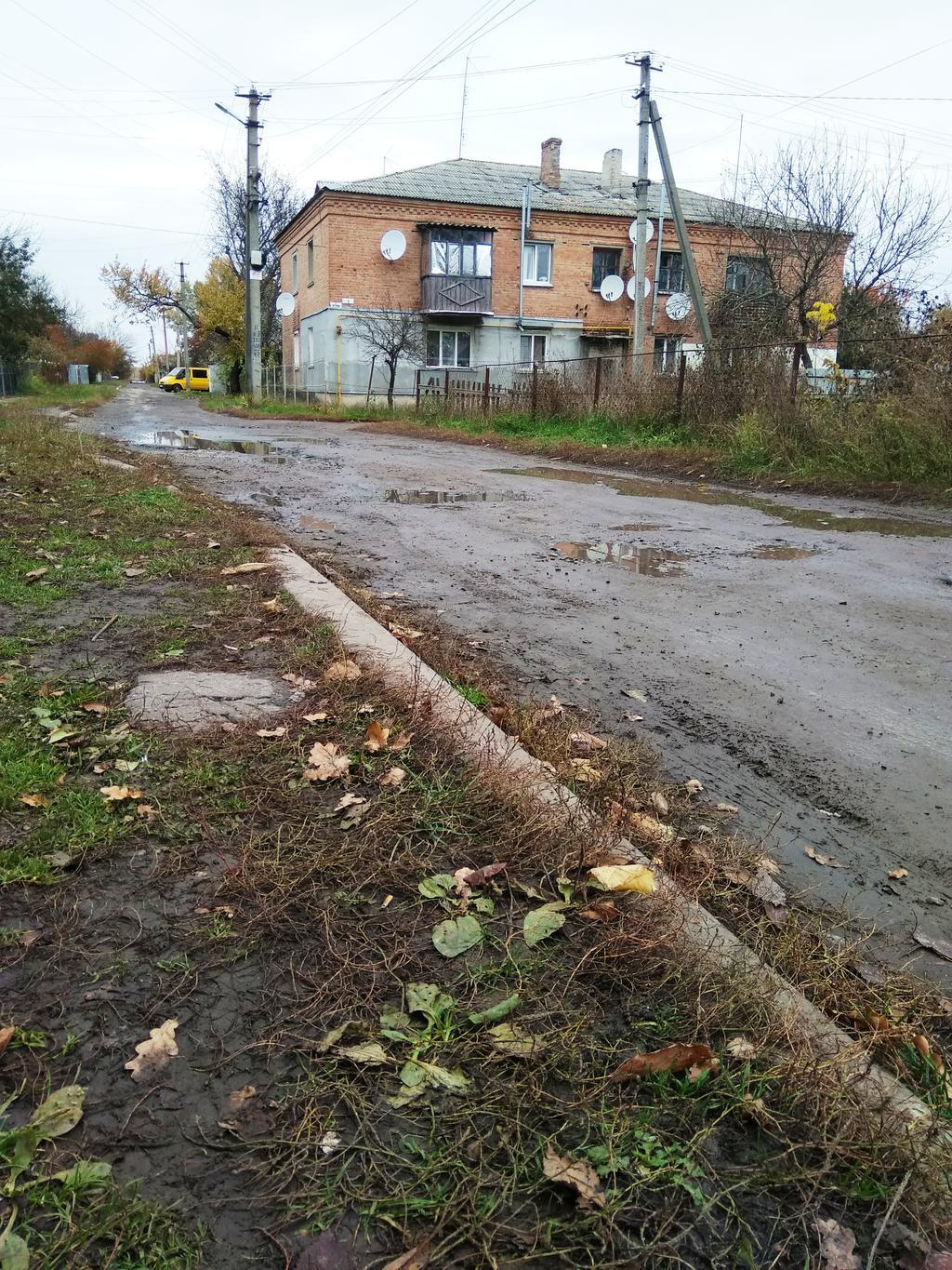 Якщо ти маленьке село, дорогу не ремонтуватимуть – про що мріють у Біологічному Полтавської громади