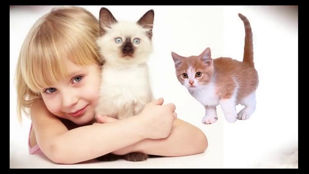 17 лютого: який сьогодні день, чого не можна робити