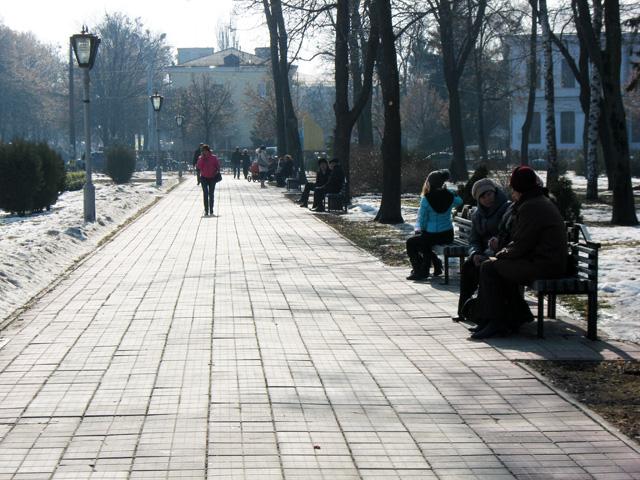 Вітряно, ожеледь та плюсові позначки: яку погоду очікувати на Полтавщині