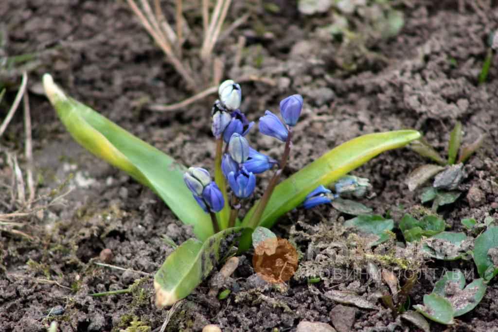 6 квітня: народні традиції та прикмети, що не можна робити
