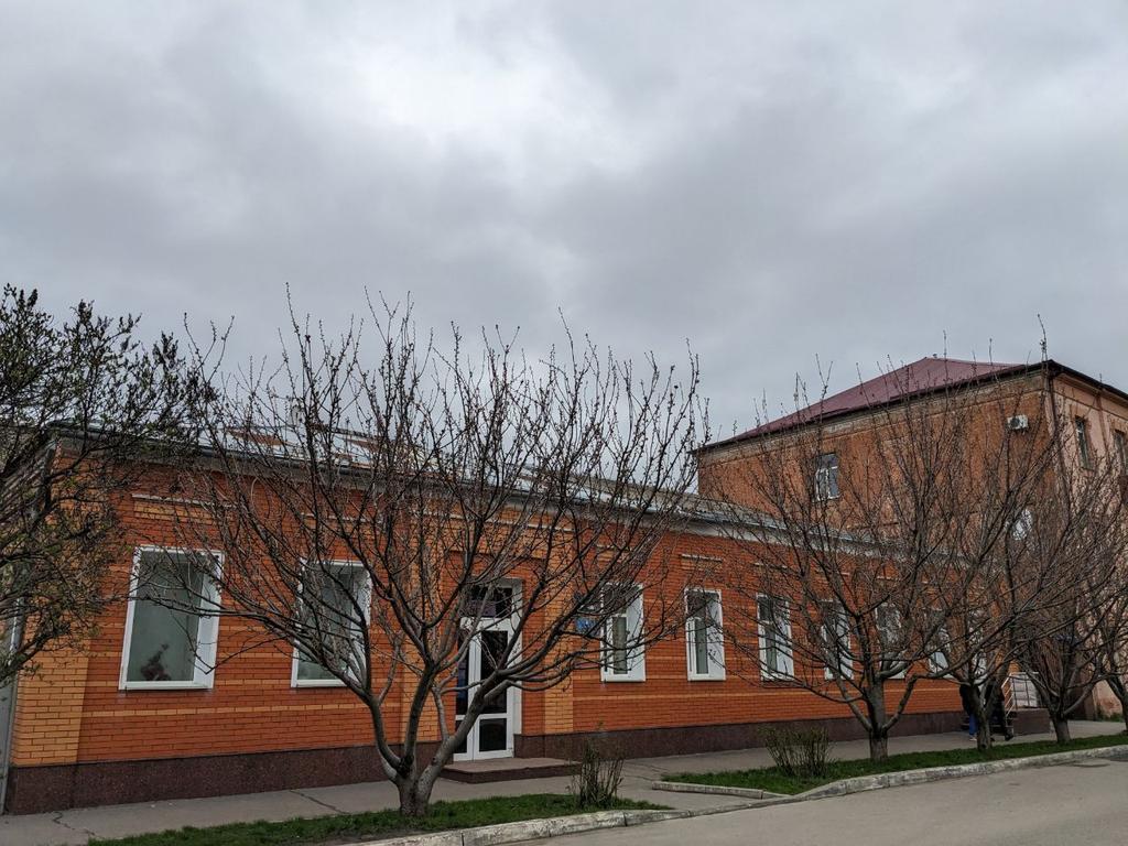 Чи розквітне на Великдень 2023 сакура у Полтаві?