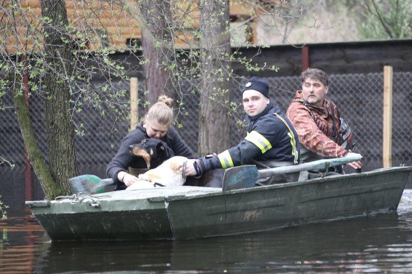На Полтавщині залишаються підтопленими понад сто домогосподарств