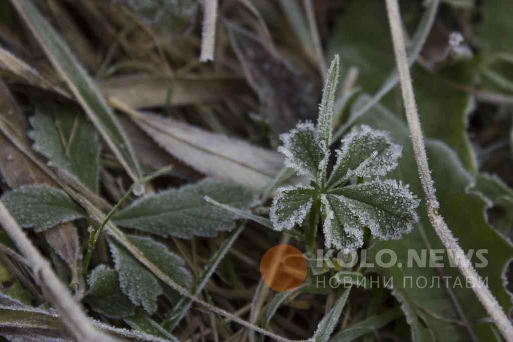 Початок травня буде із заморозками: прогноз синоптиків