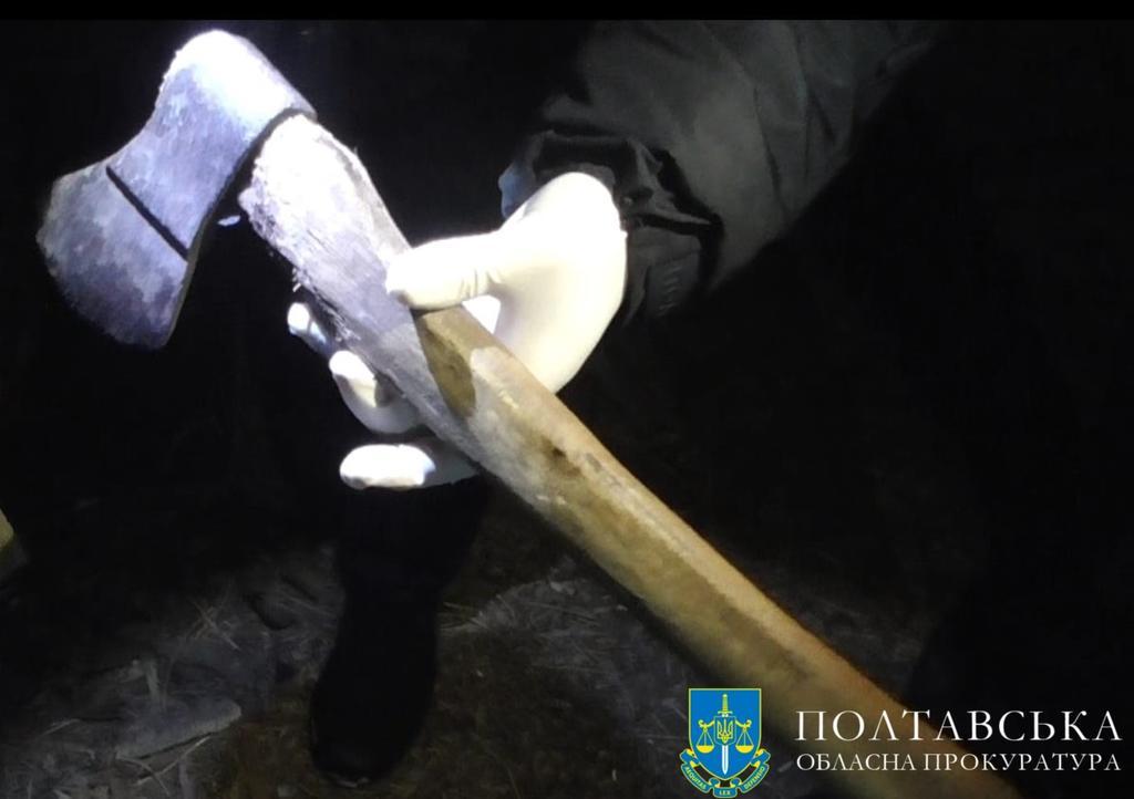 Намагався вбити колишню дружину сокирою на очах у дітей: полтавця засудили на 7 років в'язниці