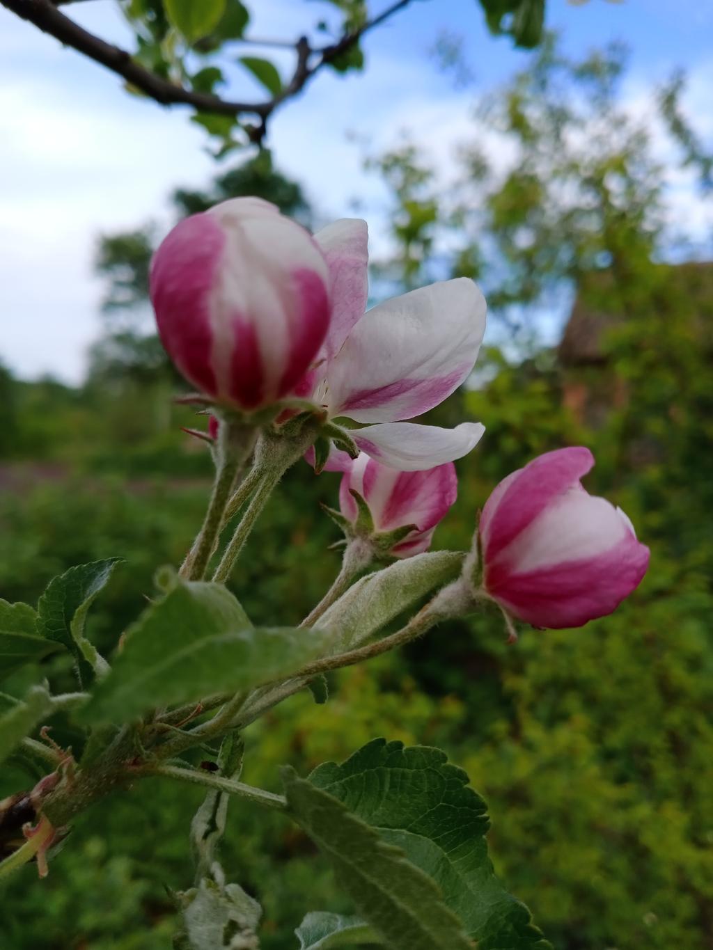 12 травня: народні прикмети і звичаї, що не можна робити в цей день