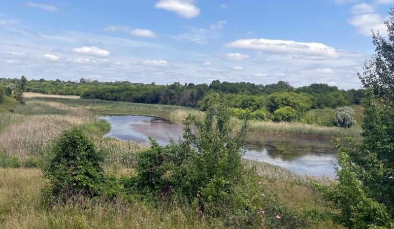 На Полтавщині у ставку виявили тіло жінки