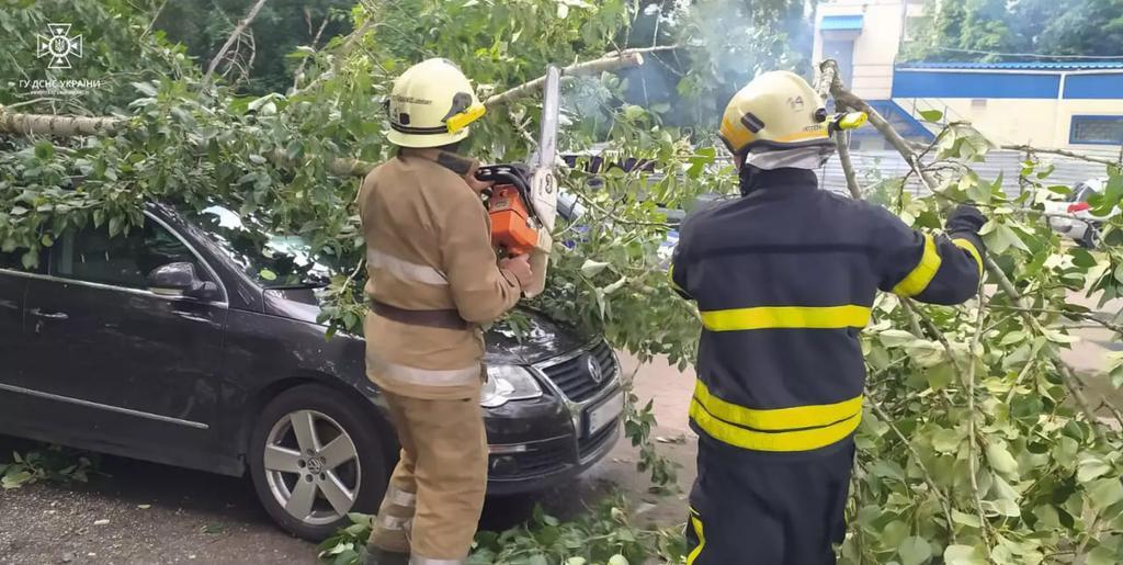 Повалені дерева, трощені автівки та відсутність світла: наслідки негоди у Кременчуці