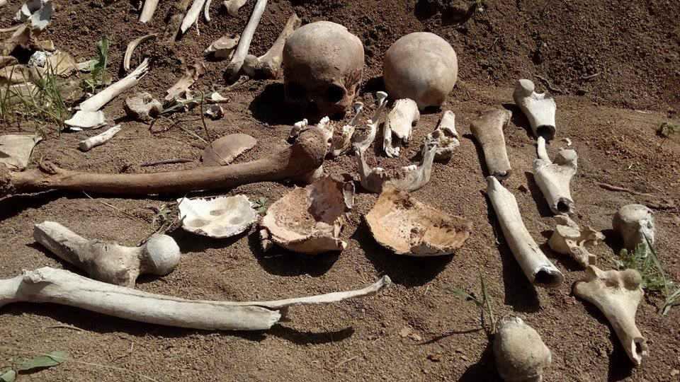 У Полтаві на території майбутньої будови знайшли людські рештки. ФОТО