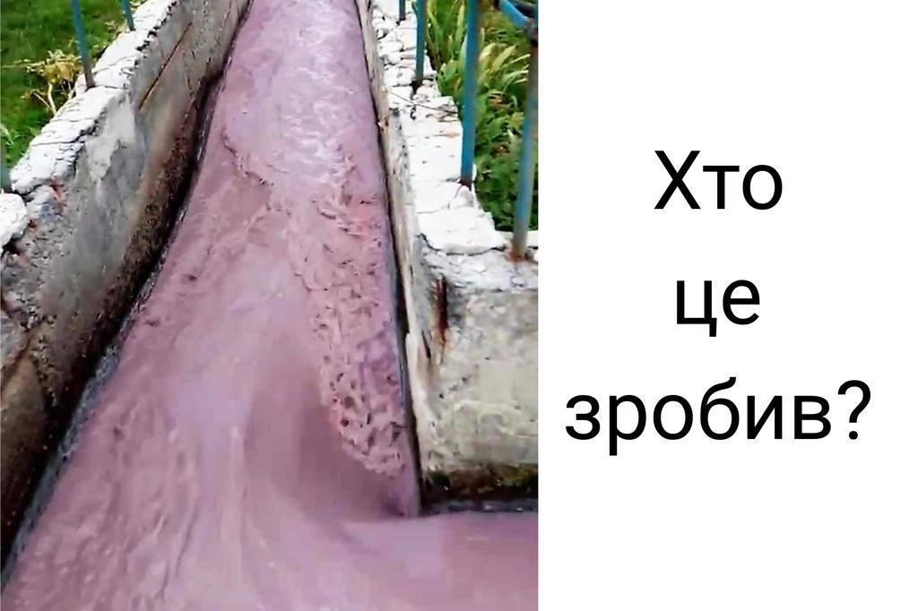 У Супрунівські ставки хтось злив рожевий «кислотний борщ». Чи вдалось запобігти екологічній катастрофі?