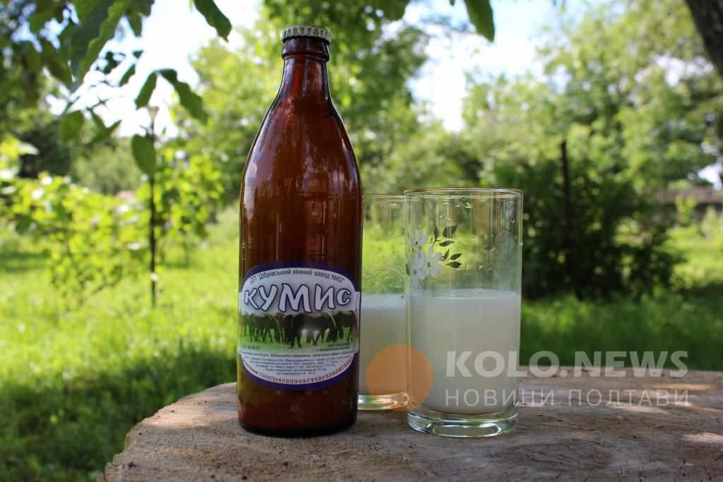 Кумис – цілющий напій із кобилячого молока – виготовляють на Полтавщині. ФОТО, ВІДЕО