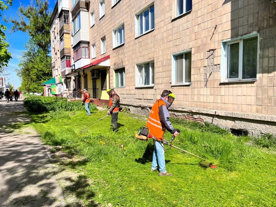 На 30 кіс 14 косарів: чому у Полтаві проблема з покосом трави