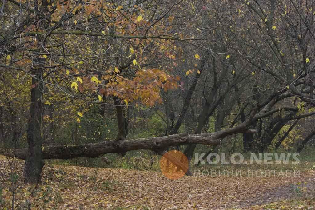 Церковне свято 4 вересня: що потрібно обов'язково зробити цього дня