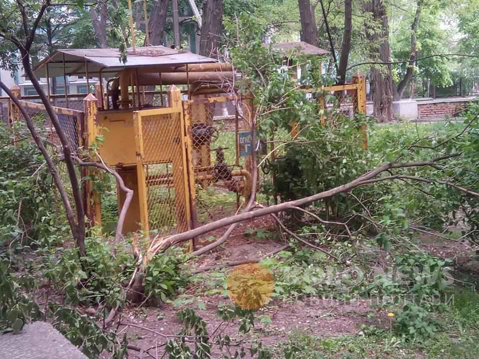 У полтавському парку зламали вхід до газового розподільника. ФОТО