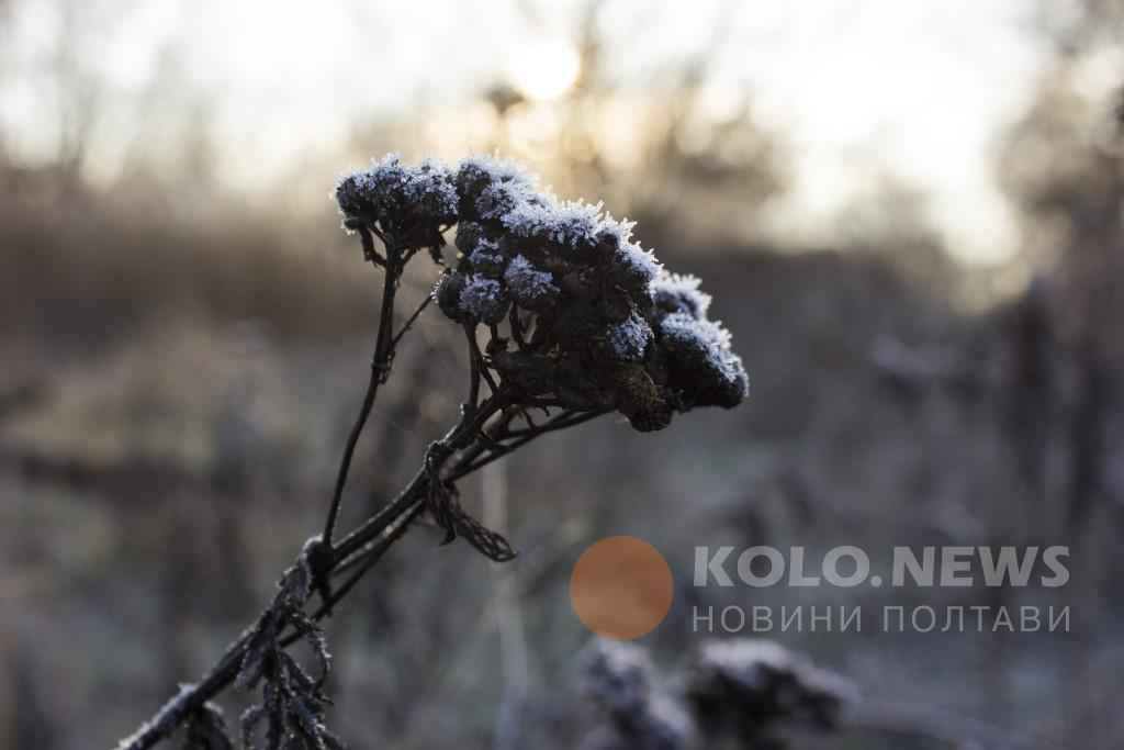 В Україну остаточно прийшла осінь