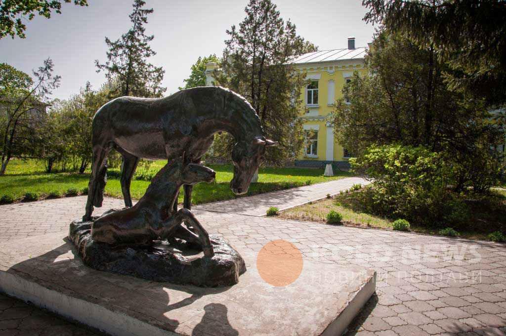 Як живе єдиний кінний завод на Полтавщині
