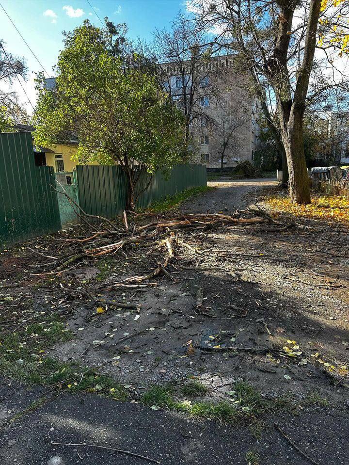 Повалені дерева, понівечені автівки: наслідки негоди у Полтаві. ФОТО