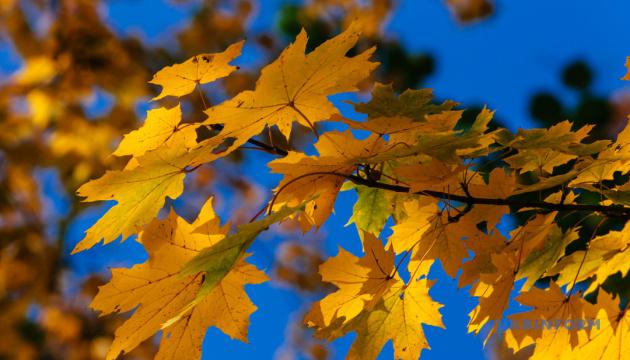 5 липня: яке сьогодні свято, традиції та заборони
