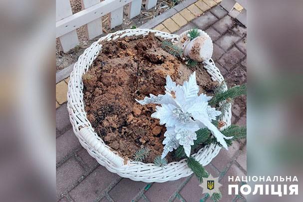 Вкрав ялинку з вазона біля кав’ярні: полтавцю загрожує до 8 років в’язниці