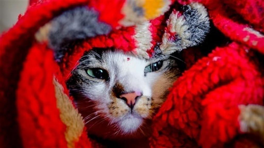 Через аварію на котельні 17 багатоповерхівок у Полтаві залишилось без тепла