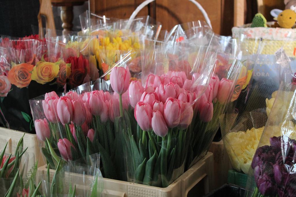 У Полтаві волонтери продають квіти: де придбати та на що збирають кошти