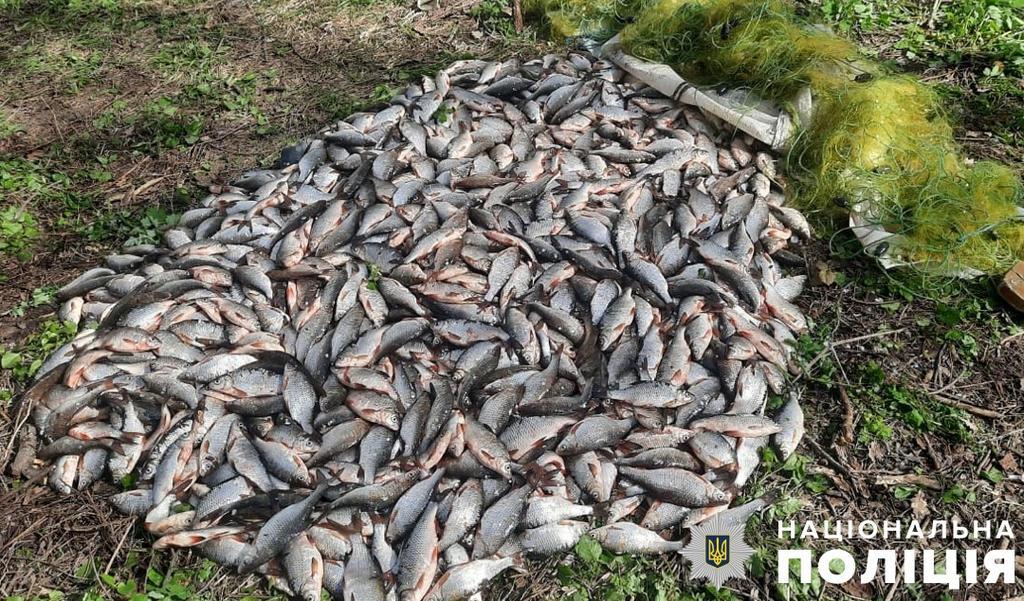Суд Полтавщини зовов'язав браконьєра, який виловив 140 кілограм риби, сплатити 1.7 млн грн