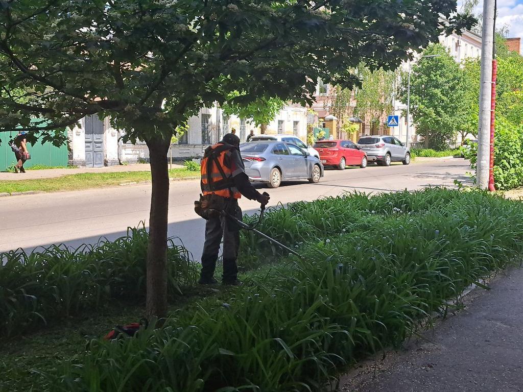 У Полтаві коситимуть траву за 20-ма вулицями
