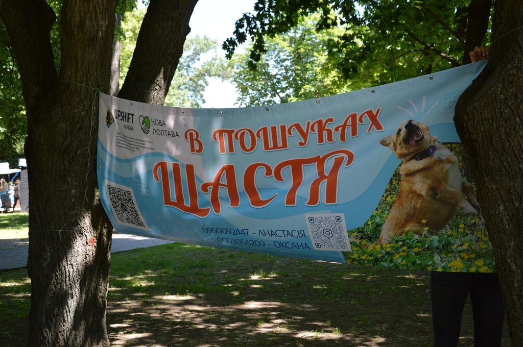 У Полтаві проводять ярмарок «У пошуках щастя», де роздають тваринок