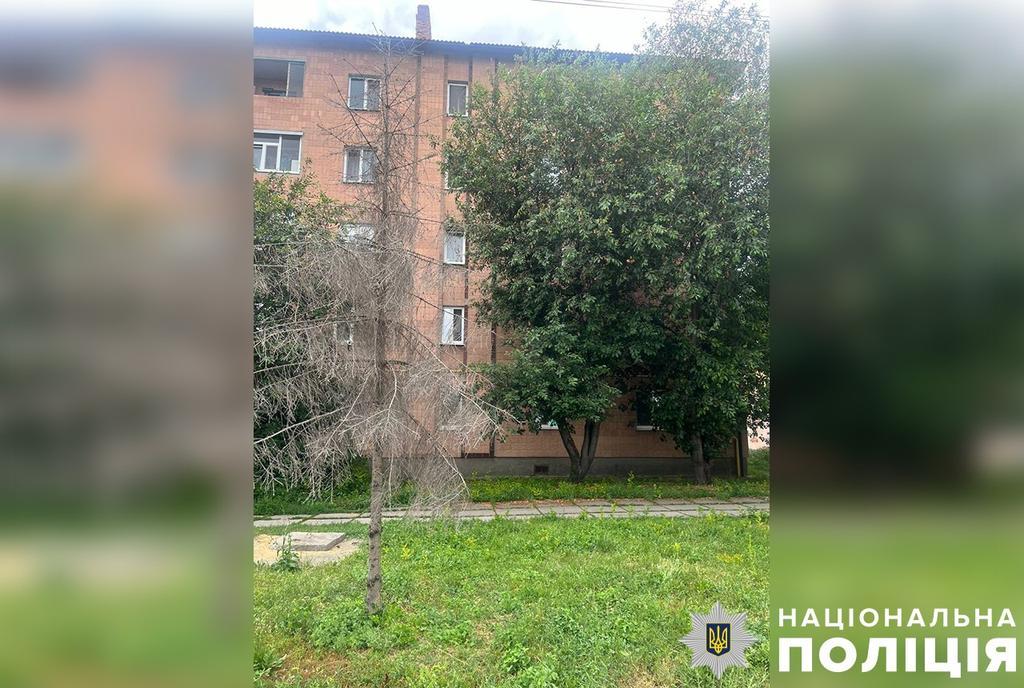 У Гребінці 4-річна дитина випала з вікна багатоповерхівки