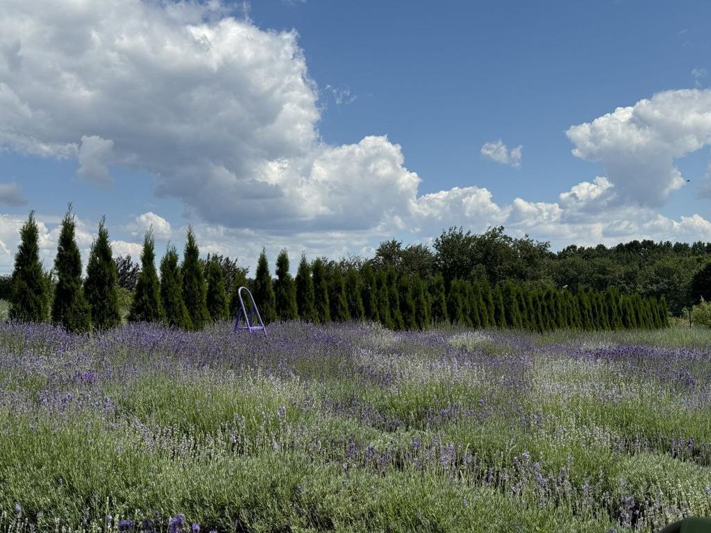 Якою буде погода у Полтаві в перший тиждень липня