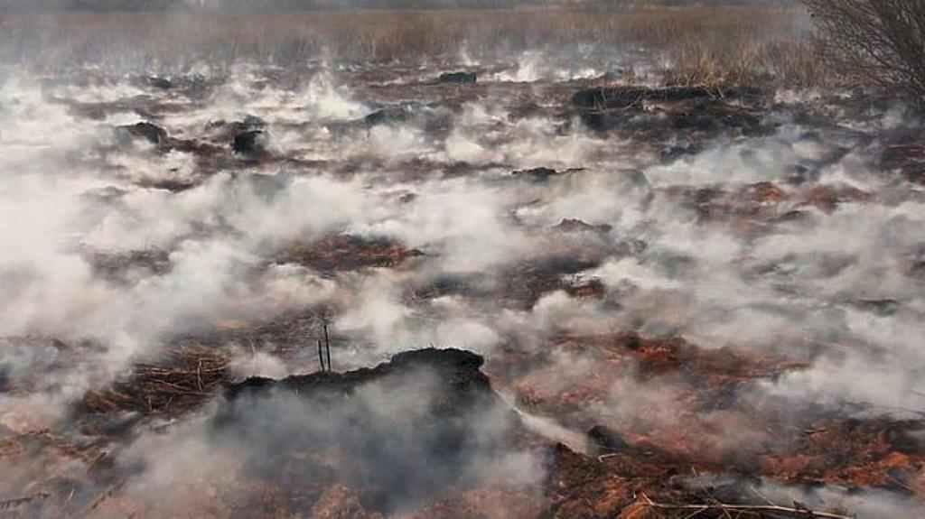На Полтавщині загорівся торф