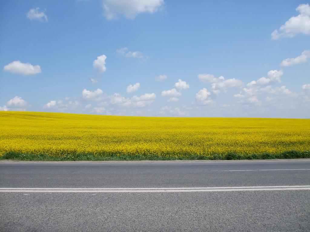 Розповіли, хто опікуватиметься міськими дорогами на Полтавщині з наступного року