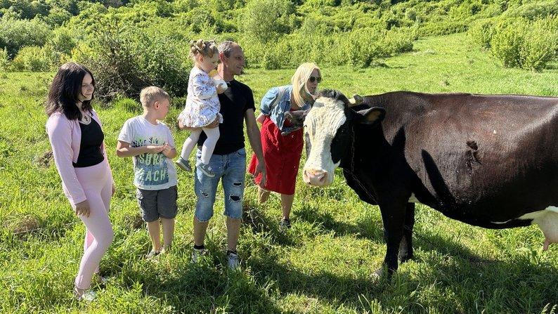 Задонать українцю на свиню: як на Закарпатті розвивають сільське господарство