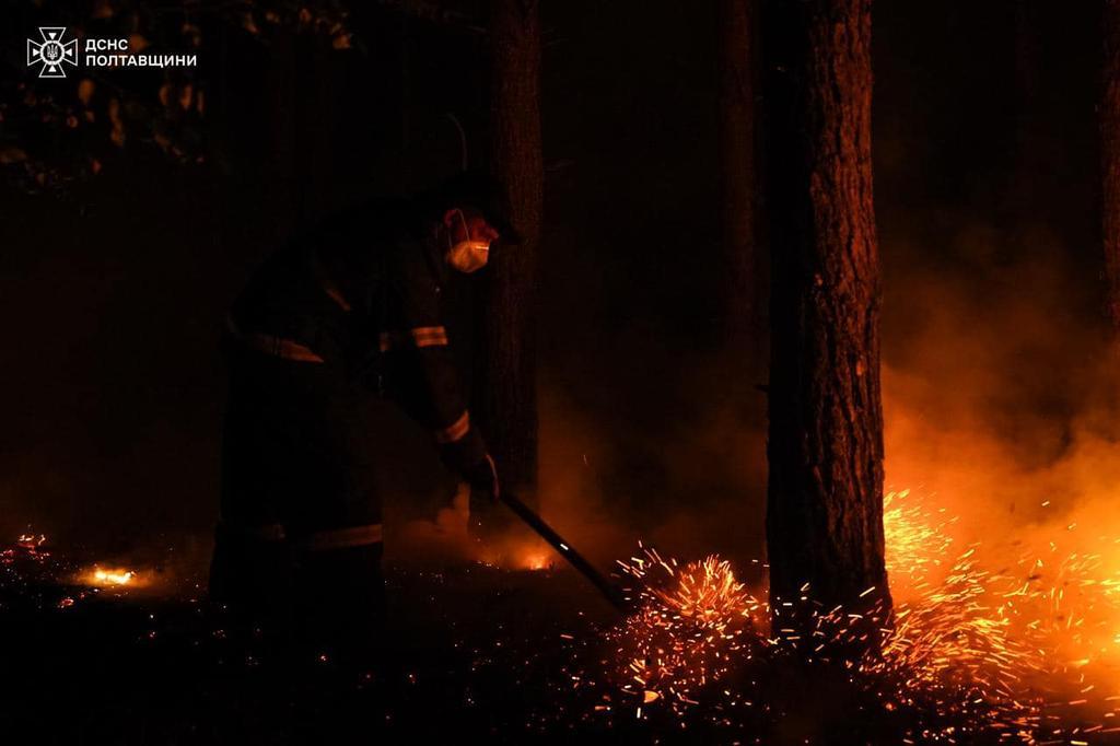 Лісову пожежу поблизу Малої Перещепини ліквідовано