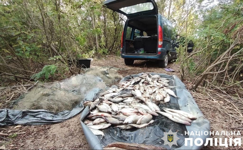 Виловили риби на пів мільйона: поліцейські Полтавщини викрили факт незаконного рибного промислу