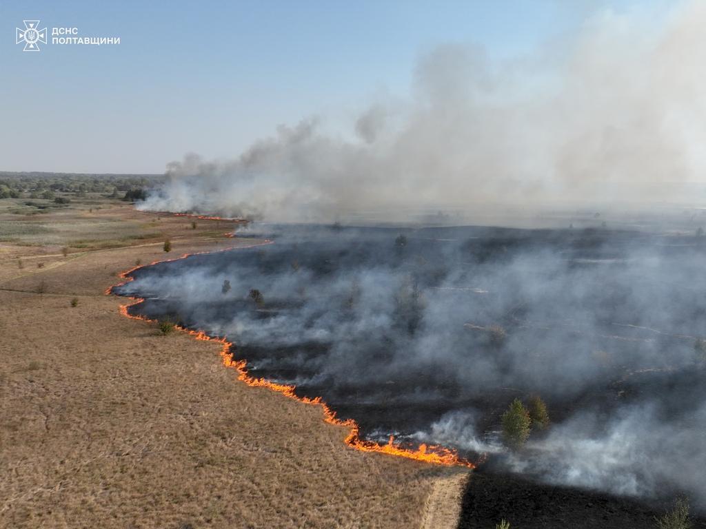 На Карлівщині горів ліс: вогнеборці врятували 6 будинків від знищення