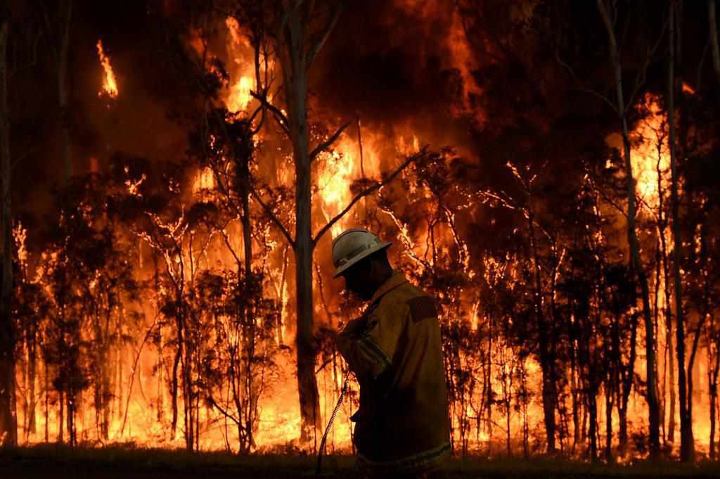 Полтавщині загрожують лісові пожежі