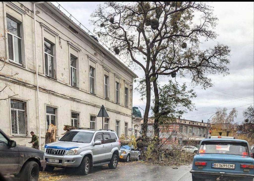 В центрі Полтави на легковий автомобіль впало дерево. ФОТОФАКТ