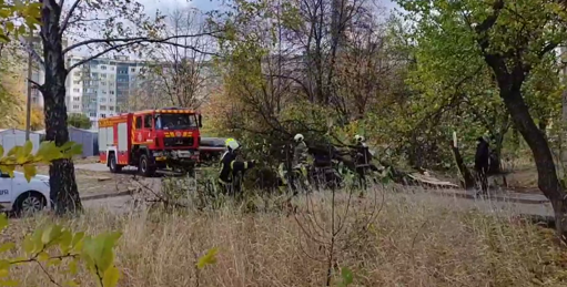 Сильні пориви вітру у Полтаві спричинили масові падіння дерев