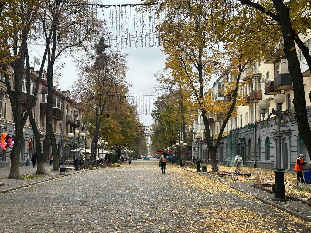 У центрі Полтави планують посадити 48 нових лип коштом меценатів