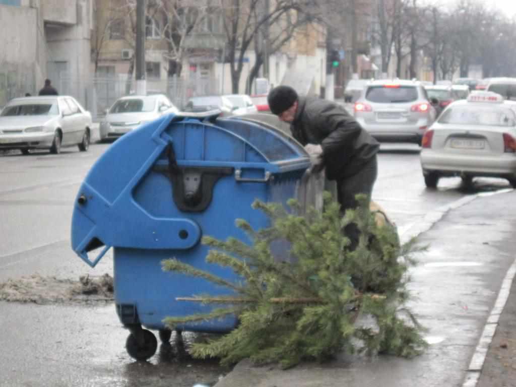 Куди подіти ялинку після свят?