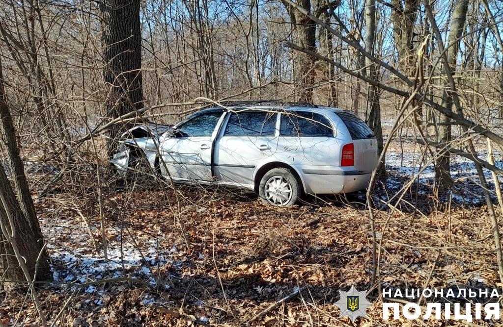 У Полтаві автомобіль зіткнувся з деревом: в ДТП травмовано дві людини